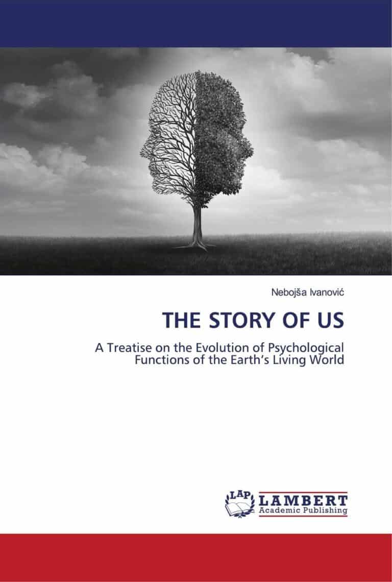 Book cover (ISBN 9786205640104)