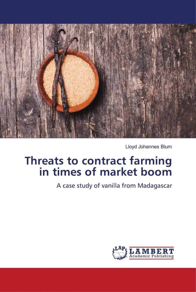 Book cover (ISBN 9786206155553)