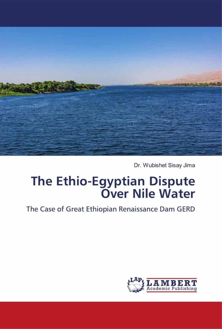 Book cover (ISBN 9786206737643)