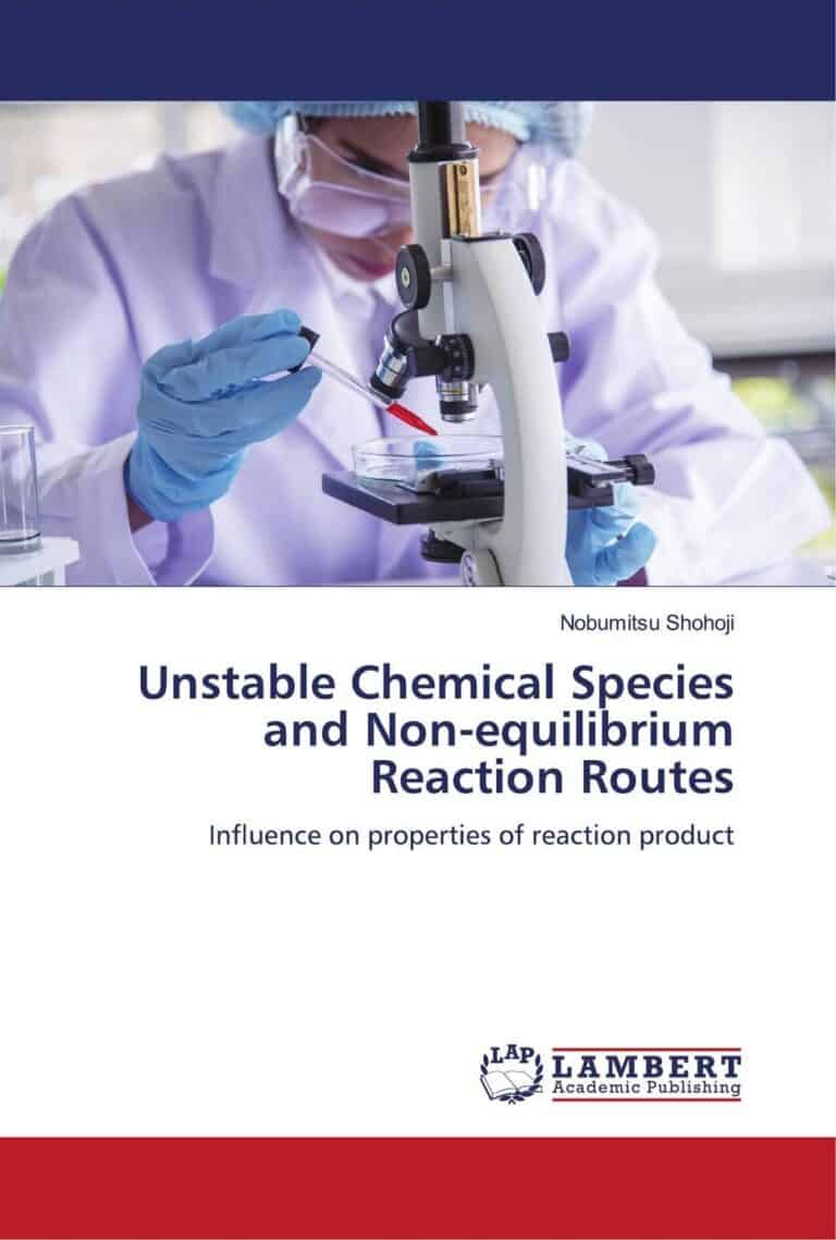 Book cover (ISBN 9786207447183)