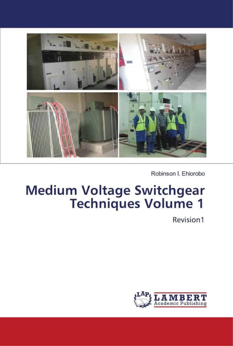 Book cover (ISBN 9786207455010)