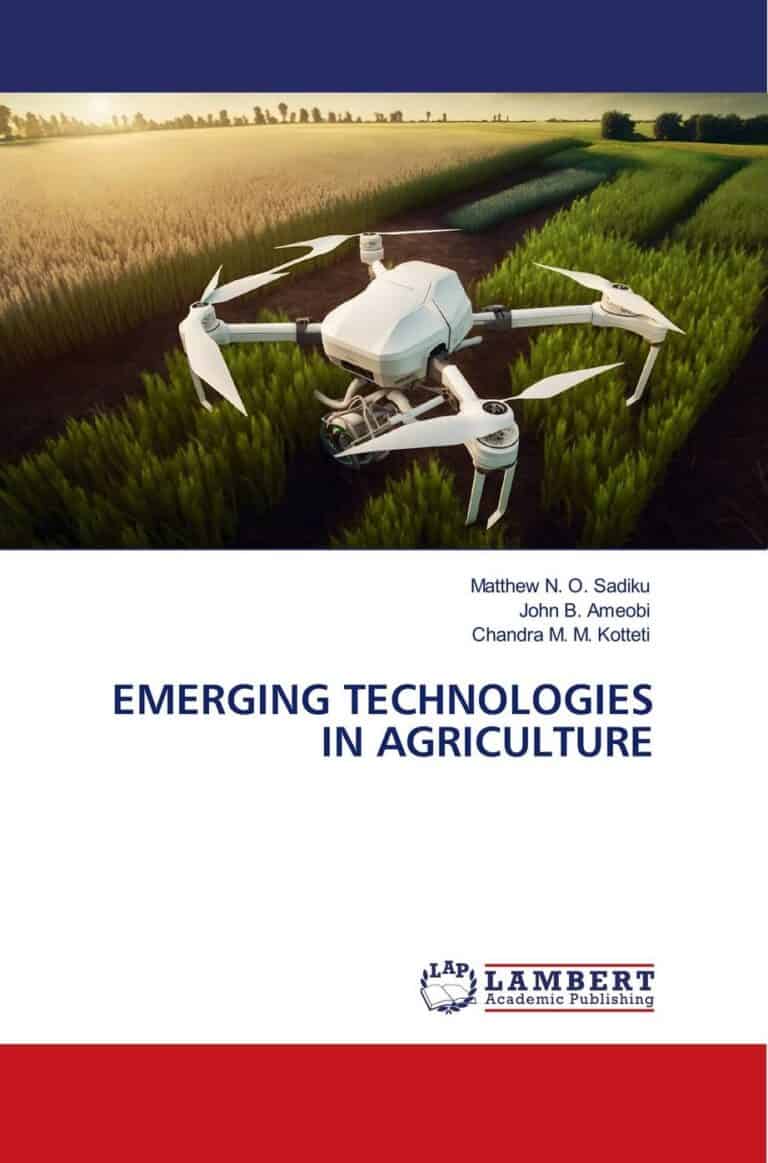 Book cover (ISBN 9786207458721)